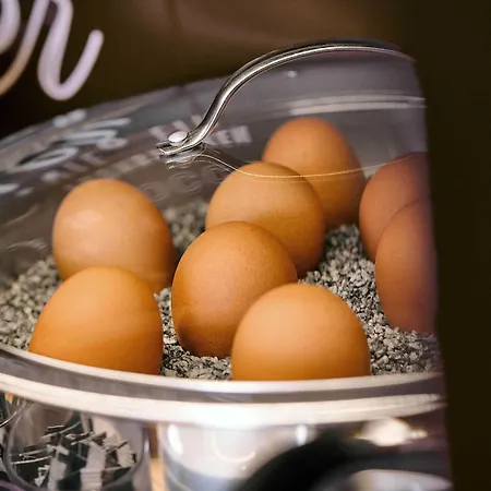 ホテル B＆b ティーアガルテン 3*